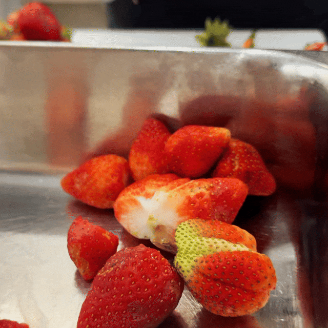 Morangos frescos sendo preparados para produção de gelato